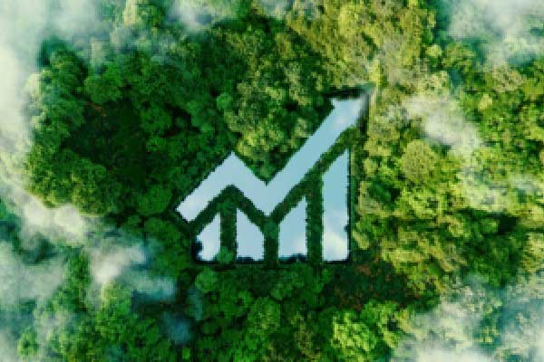 曾金策6月3日：黄金大涨后会回调吗？散户如何抓住这波行情？沪金积存金纸黄金融通金黄金T+D最新行情走势分析及操作建议